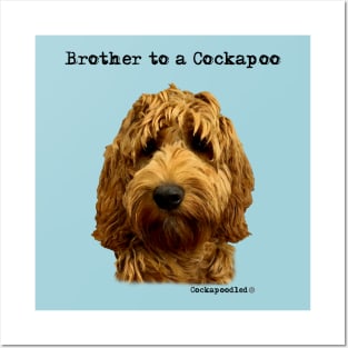 Cockapoo Dog Brother Posters and Art